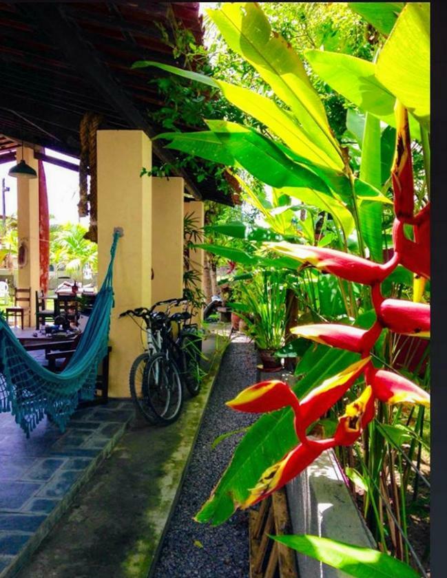 Villa Albardao Serrambi Pôrto das Galinhas Extérieur photo